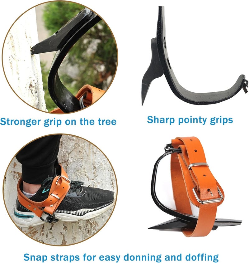 timiland Upgrade Leather Tree Climbing Spikes,Tree Climbing Gear,Tree Spurs with Adjustable Length Design,Tree Spikes for Climbing,Tree Spikes for Tree Work,Logging, Fruit Picking (Yellow) - Image 5